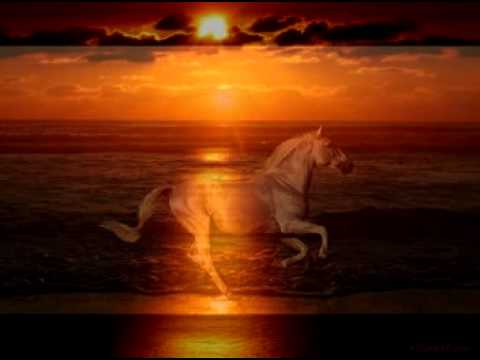 Divas en Exceso Violeta Lo Re