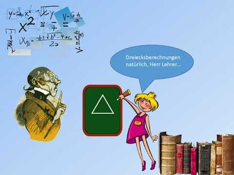 Einführung in die Terminologie der konstruktivistischen Systemtheorie nach Niklas Luhmann