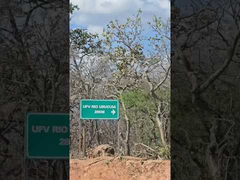 MG 402, Urucuia a Pintópolis 🛣 04.09.2026