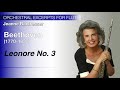 Beethoven – Leonore Overture No. 3 | Baxtresser | Orchestral Excerpts for Flute