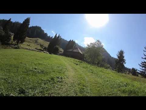 Singletrail 12 09 19