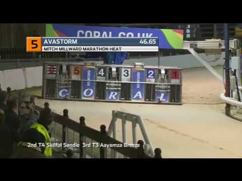 2019 MITCH MILLWARD MARATHON - HEAT1 - T5 AVASTORM