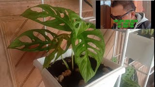 Download lagu Lagu manado terbaru 2021' II GARA GARA JANDA BOLONG II Lagu manado terpopuler II Vocal BOBBY TIWA mp3