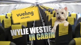 HOW TO ADD A PET DOG IN CABIN WITH VUELING ONLINE