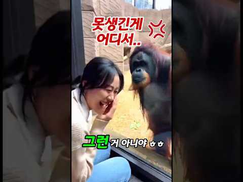 못생긴게 어디서… 내 남편을?!😡💢