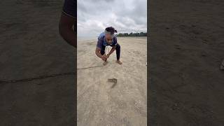 Shark hunting catfish bait throwing 27  #fishinglife  #bait  #river  #shorts