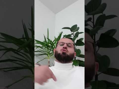 2103. Një porosi Profetike për ty! (1)     Hoxhë Suad Shabani