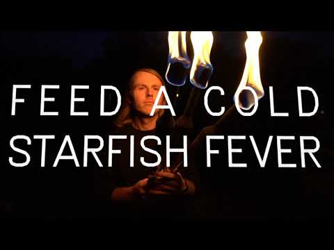 Andy Jenkins – Starfish Fever (Official Music Video)