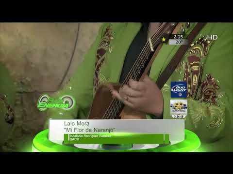 Mi Flor de Naranjo Lalo Mora
