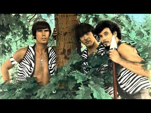 The STRANGELOVES - 6 Songs in stereo including Night Time single version