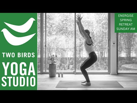 45 Minute 'Wrist Free' Vinyasa Yoga (Spring Retreat - Sat am)