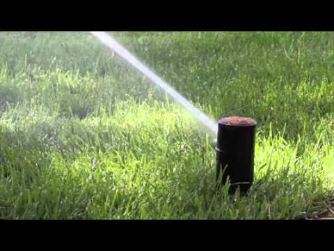 Single Video thumbnail