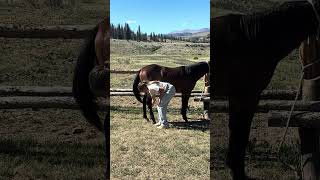Video 3