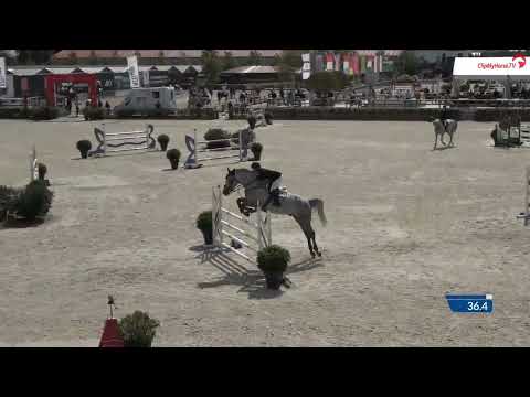 Daddy Cool Ter Linden Z