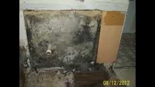 preview picture of video 'Basement Water Damage Port Washington NY 11050|516-224-7776'