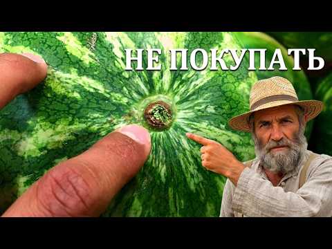 Никогда Не Покупайте Арбуз Не Зная Этих 7 Правил — Секрет Фермеров