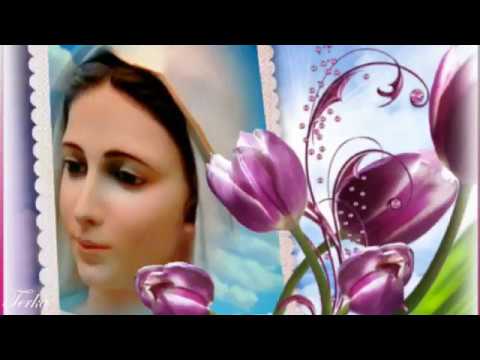 Luka Balvan - Cvijece za Mariju