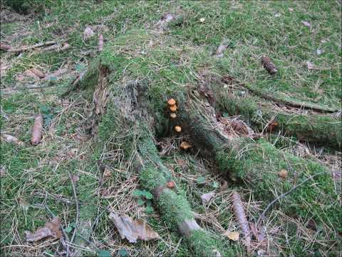 NPaT - PM - NP&T - les