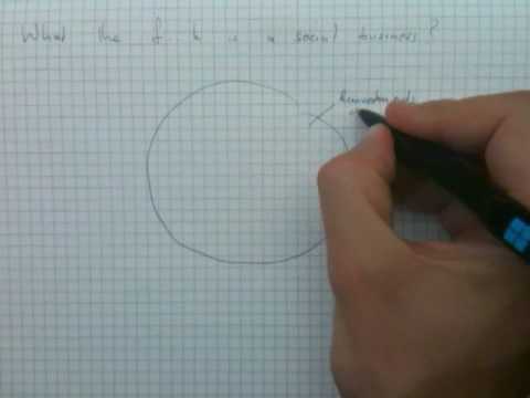 What the f..k is a social business?