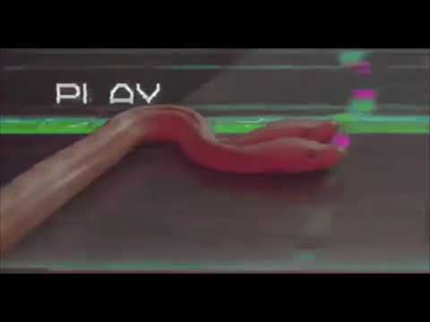 Tfue Diss Track - FaZe H1ghSky1 (ft. loganpaul )