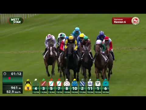 Görlsdorfer Zucht - Tanami Starlet - Corentin Berge