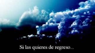Foo Fighters - But Honestly  (Subtitulado)