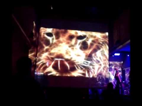 One Love Reggae Radio Live show (Pozitív) visual: Toportyan