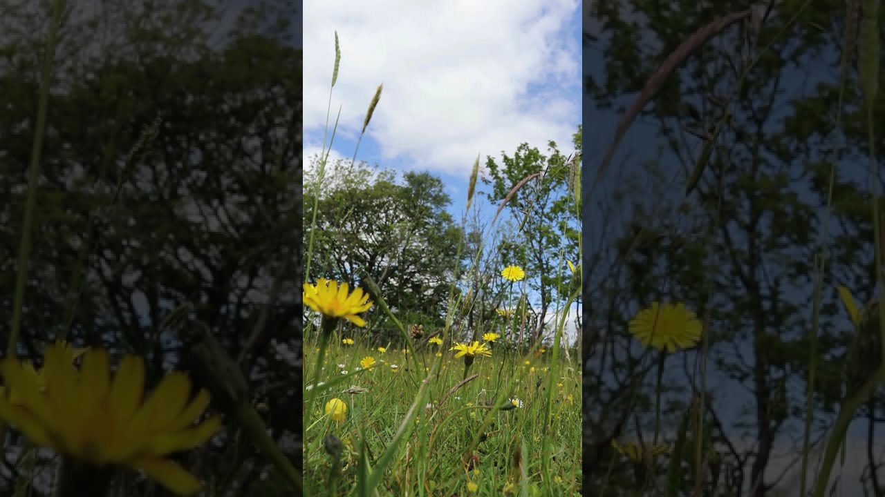 Creatively Connected Poem by Lizzie Lovejoy