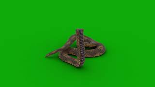 Download lagu half snake green screen..... mp3