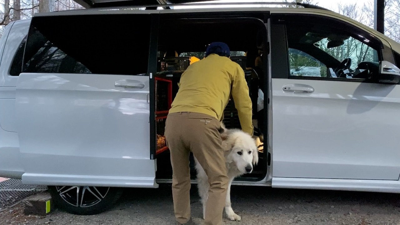 【ルンルンの裏庭】なかなか車から下りないリリー