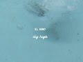 el niño