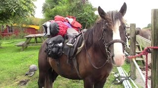 Preparing For A Solo Horse-Riding Journey – What To Take And How To Tie It On..