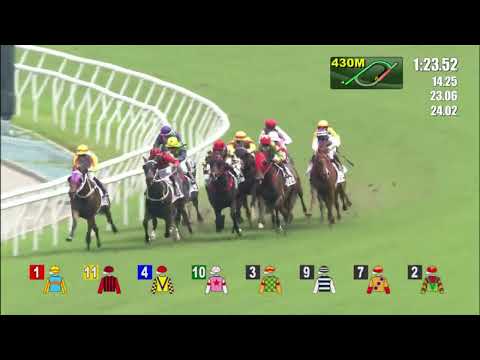 19/6/2022 (755) Tourbillon Diamond -  A Badel (G3, The Premier Plate )