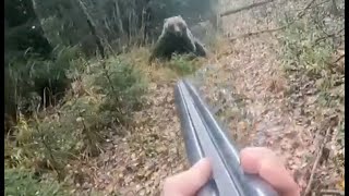 Re: [問卦] 為什麼南非的野生獅子怕人阿？