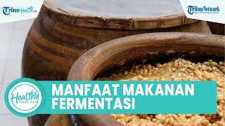 Unik! Makanan Fermentasi Bagus untuk Kesehatan Tubuh: Cegah Bakteri Jahat & Melancarkan Pencernaan