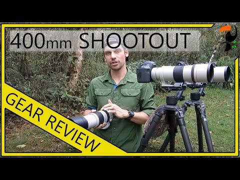 Photography Equipment - Canon 400mm Shootout (400mm f/5.6 vs 100-400mm vs. 300mm f/4 + 1.4x)