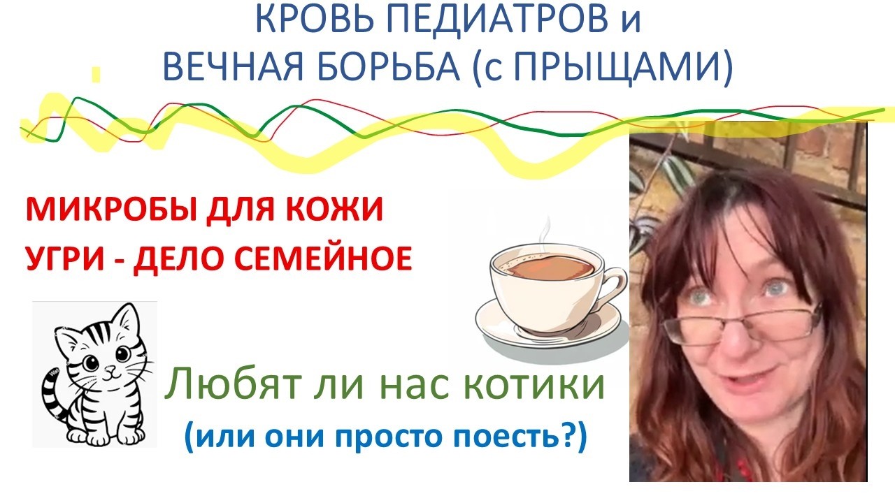 Секрет борьбы с простудой, прыщами и коварство котиков