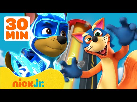 PAW Patrol & Swiper Villains Marathon! w/ Dora 🦊 30 Minutes | Nick Jr.