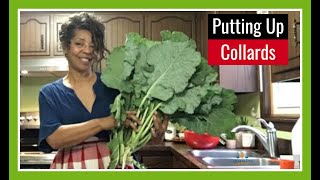 How to Freeze Collard Greens (3 Easy Steps to Freezing Collards)