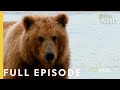 Grizzly Battleground (Full Episode) | Alaska's Grizzly Gauntlet