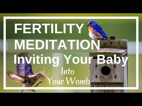 Fertility Meditation: Inviting your baby into your womb (Guided Imagery for getting pregnant)