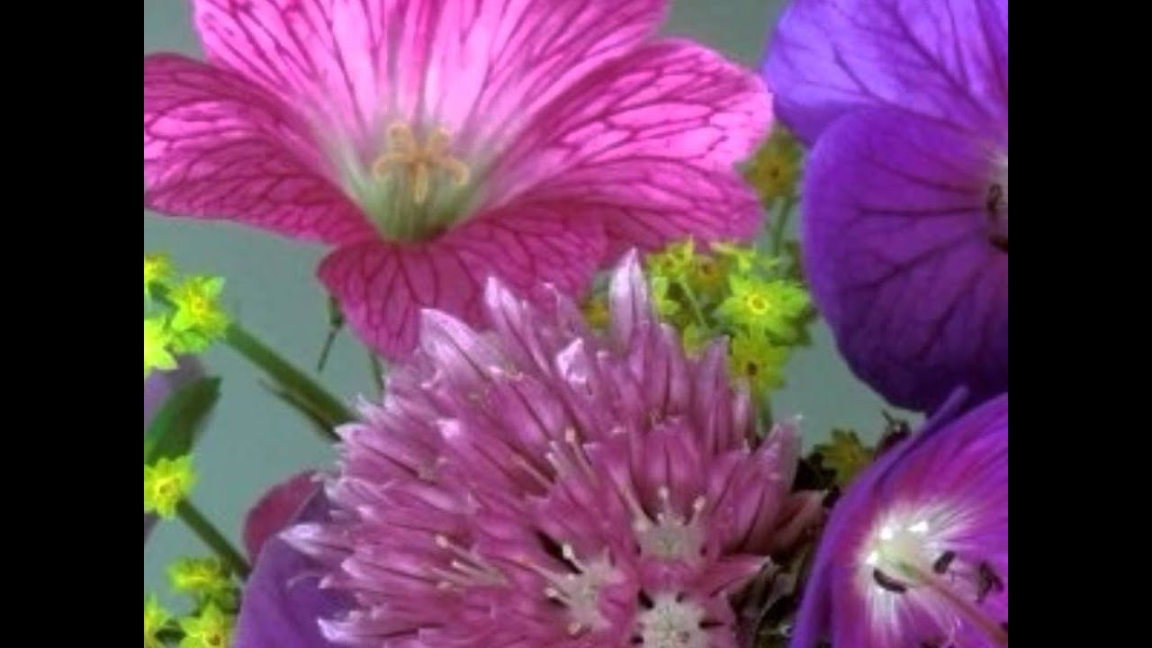 Aankhon Mein Mohabbat Hai Lyrics  | Gair | Ajay Devgn, Raveena Tandon | Kumar Sanu, Sushma Shrestha (Poornima) | Anand Shrivastav, Milind Shrivastav