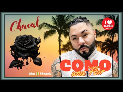 CHACAL - COMO UNA FLOR ❤️ BACHATA HIT 🌴 ♪ URBAN LATIN ♪🌴