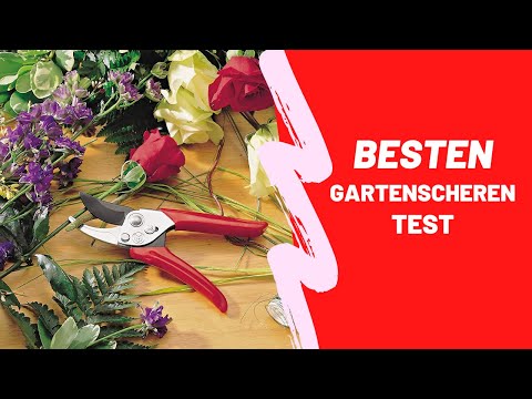 Die Besten Gartenscheren Test 2022