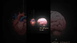 Relation between heart and mind