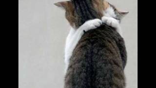 LFO - Your Heart Is Safe With Me