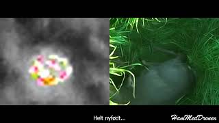 Hammeddronen aps med Drone ved Bedsted