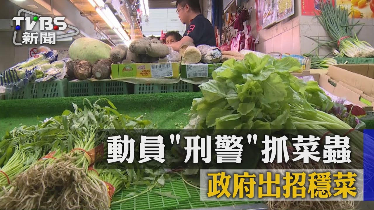 動員「刑警」抓菜蟲　政府出招穩菜價