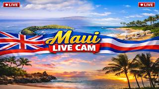 🔴 LIVE: Ultimate Maui Webcam Tour 🌺 Ka'anapali, Wailea, Whale Watch & Haleakalā | NOW!