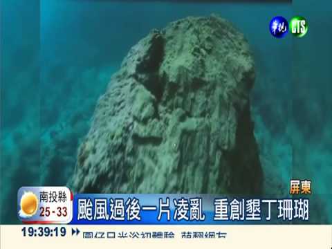 被"天兔"踩爛了! 墾丁珊瑚快死光